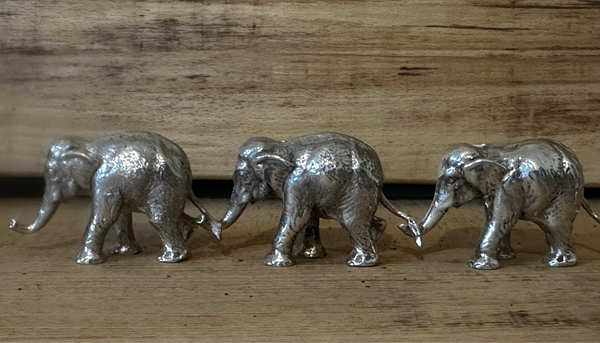 Linking elephants