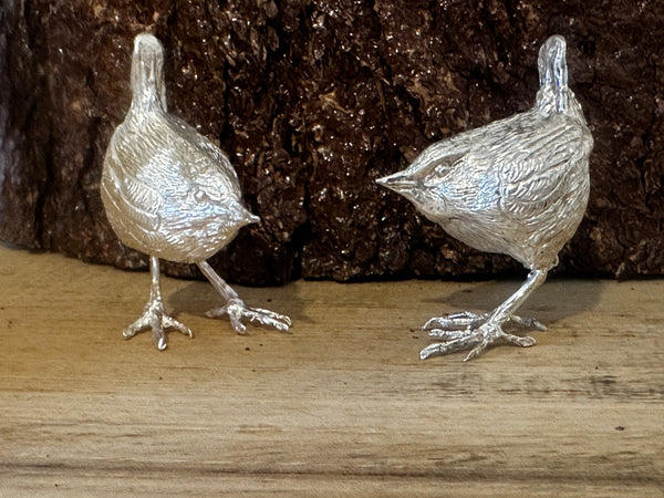 Silver Wren