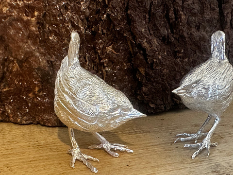 Silver Wren