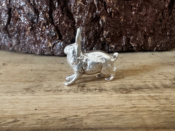 Silver hare