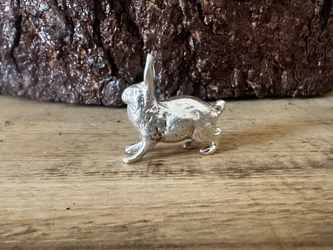 Silver hare