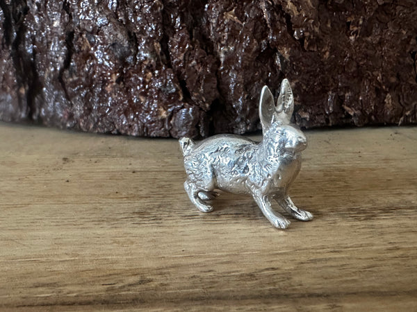 Silver hare