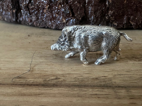 Boar