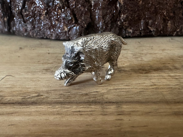 Boar