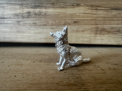 Silver fox cub