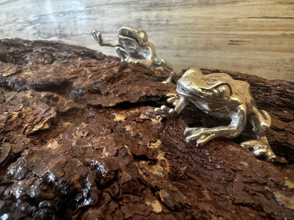 Silver frogs