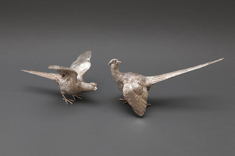 Pair of Silver Pheasants