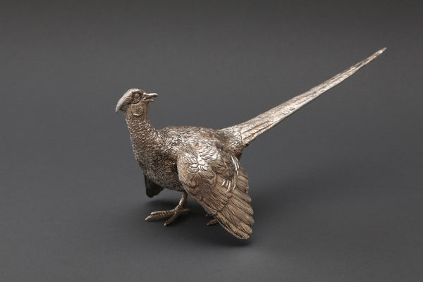 Pair of Silver Pheasants