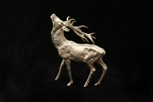 Stag
